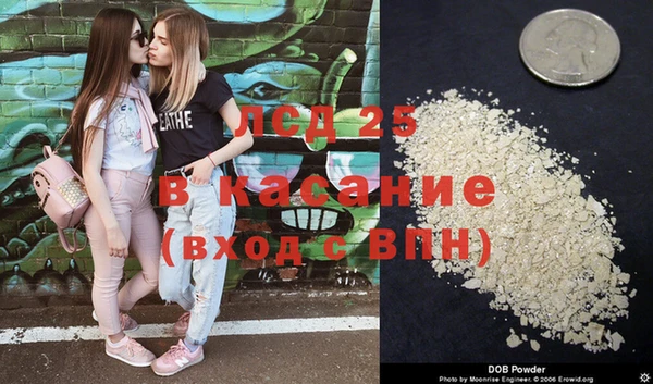 PSILOCYBIN Абдулино