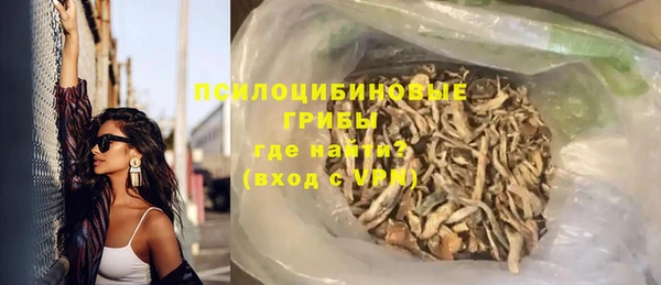 ПСИЛОЦИБИНОВЫЕ ГРИБЫ Алзамай