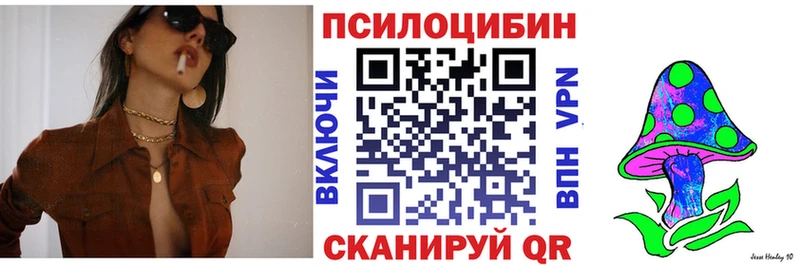 Псилоцибиновые грибы GOLDEN TEACHER  где купить наркоту  Владивосток 